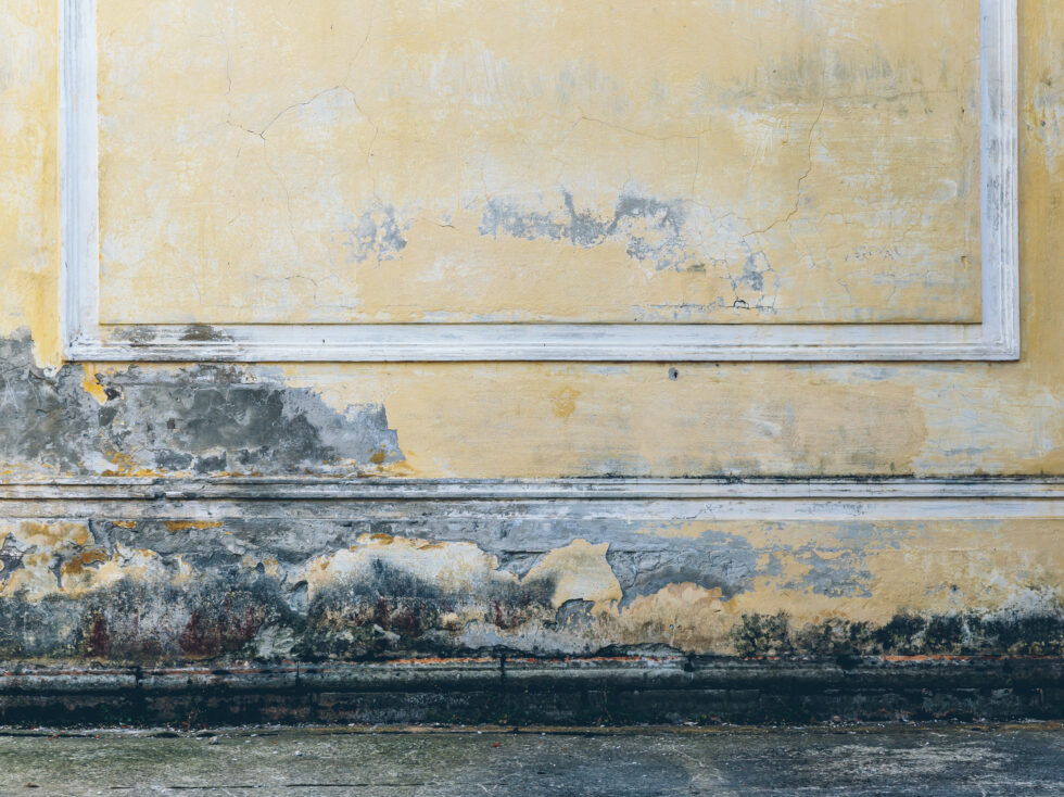 Why You Should Have a Home Inspector Check for Mold When it’s Not on a Seller’s Disclosure in Georgia